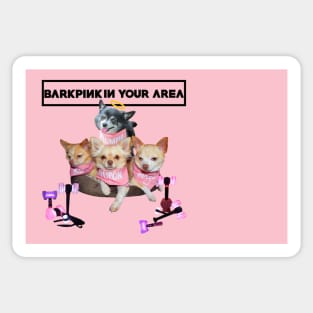 BarkPink in Your Area Pink Bandanas with Black Trim Sticker
